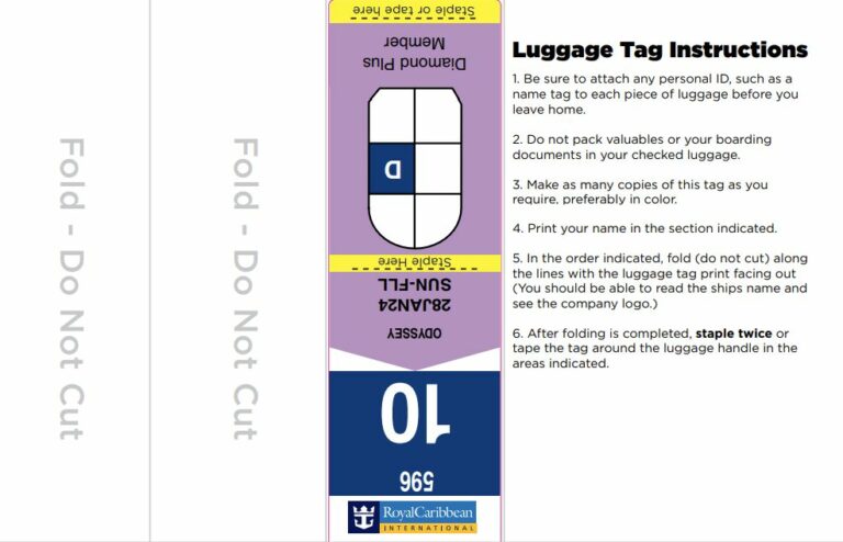 recommendation-get-luggage-tags-for-your-next-cruise-smoother